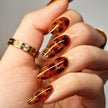 Brown Jellie Gel Color