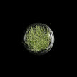 Green Strands