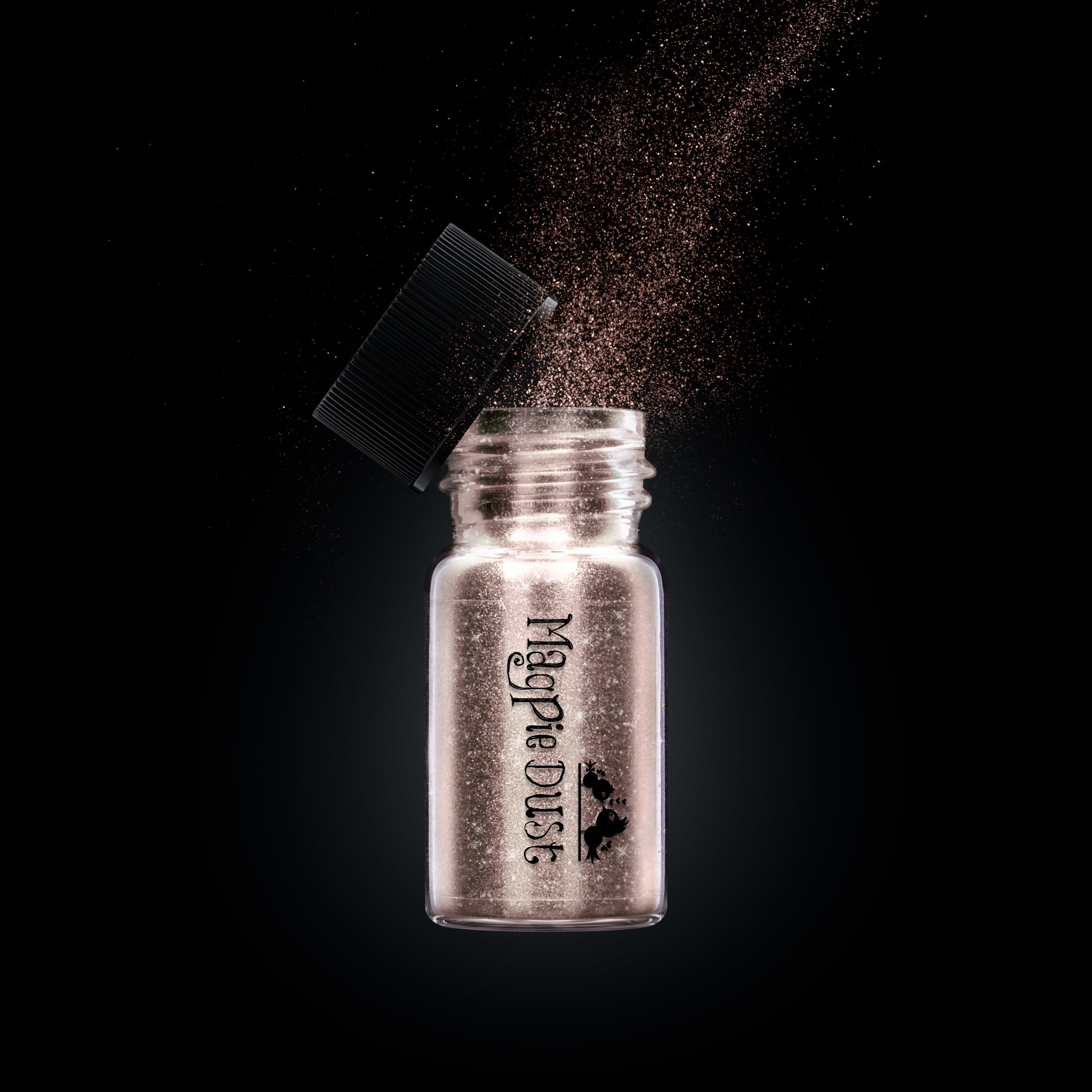 Winter Chrome Dust Collection