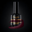 Silk Noir Gel Color