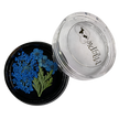 Blue Dried Flowers