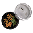 Orange Dried Flowers