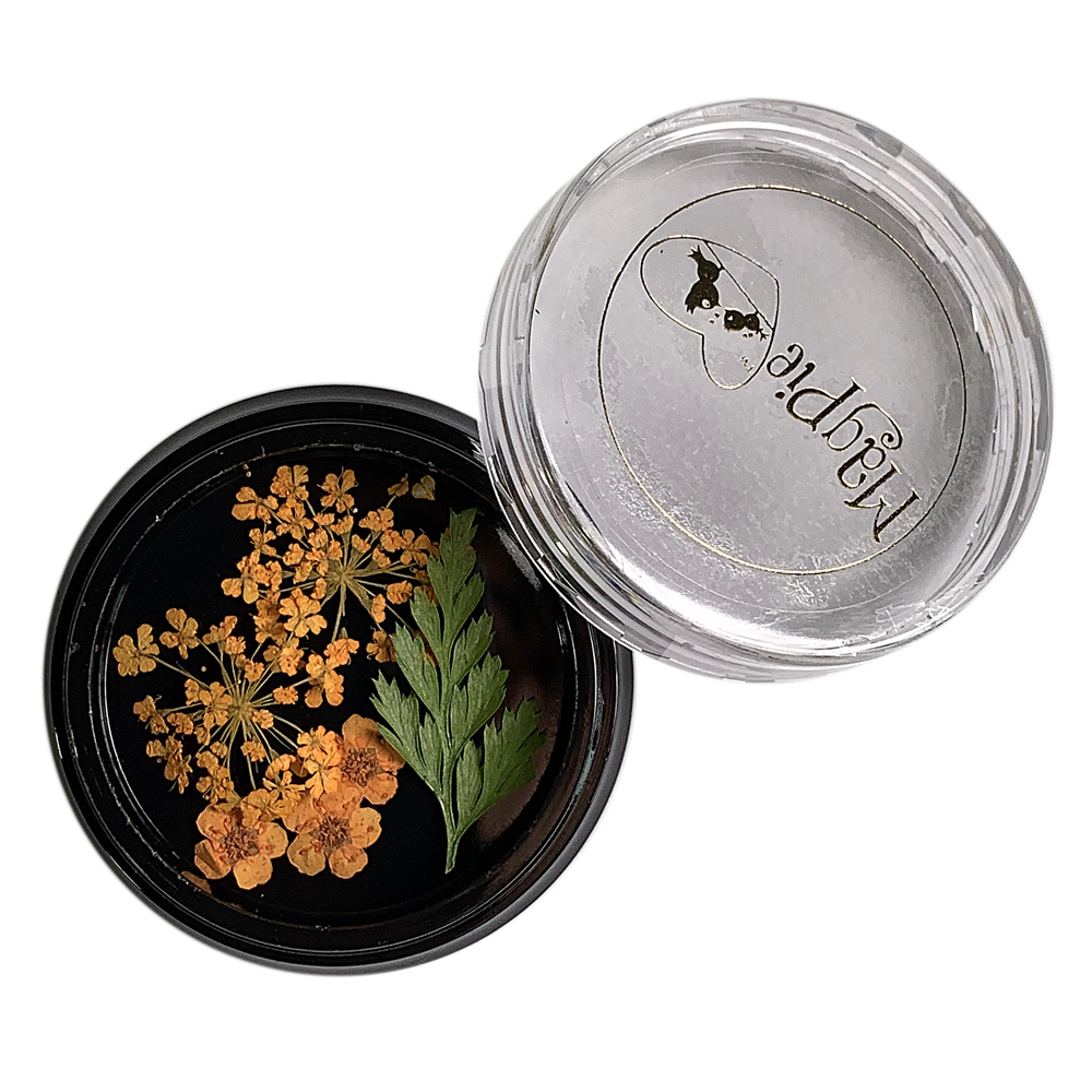 Orange Dried Flowers