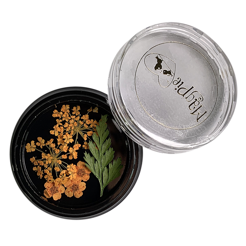 Orange Dried Flowers