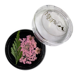 Pale Pink Dried Flowers
