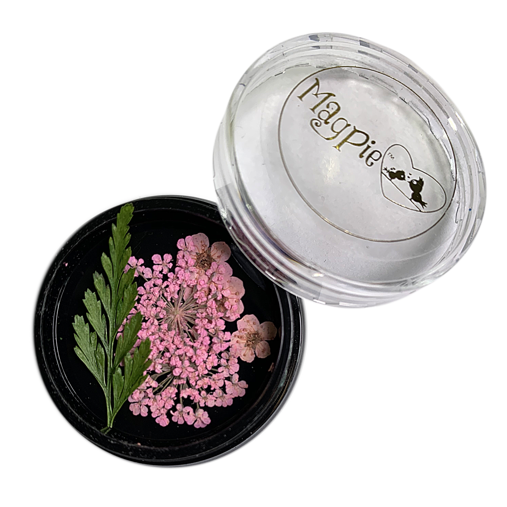 Pale Pink Dried Flowers