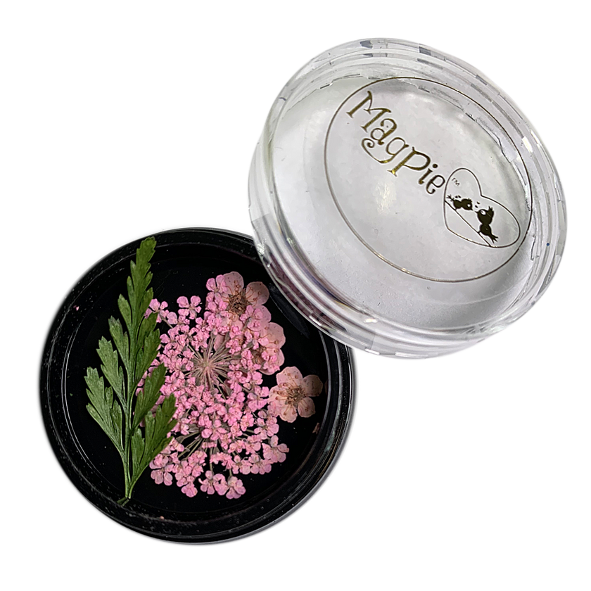 Pale Pink Dried Flowers