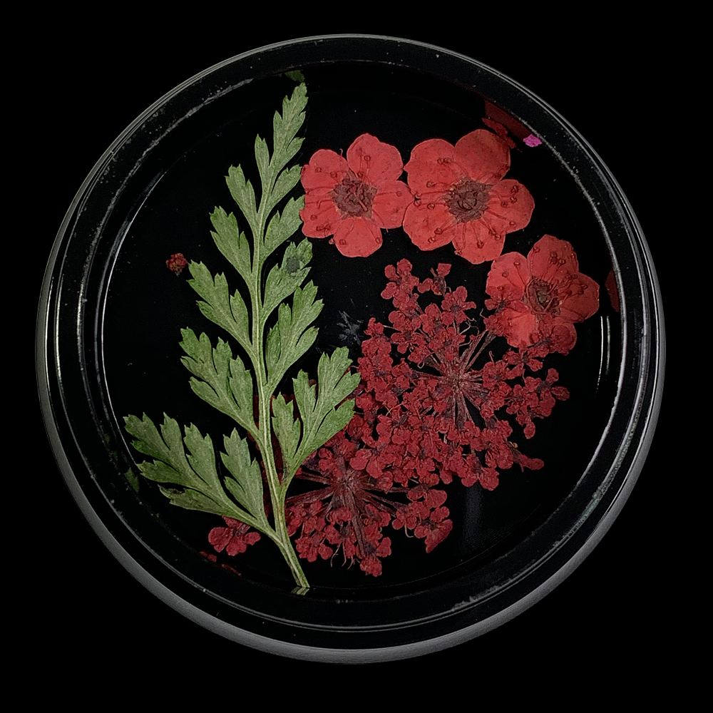 Red Dried Flowers