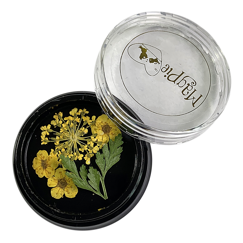 Yellow Dried Flowers