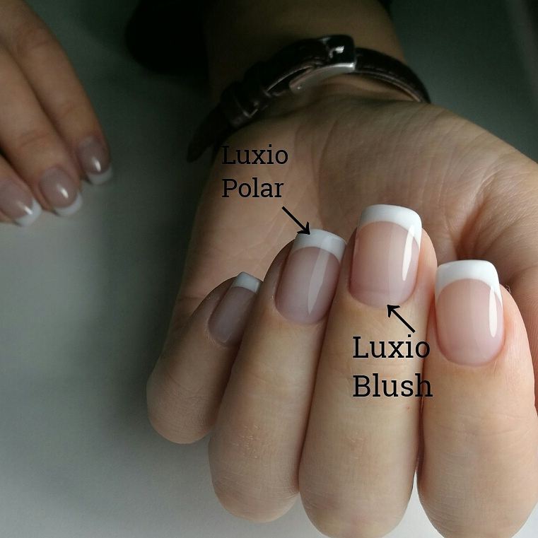 Luxio Polar