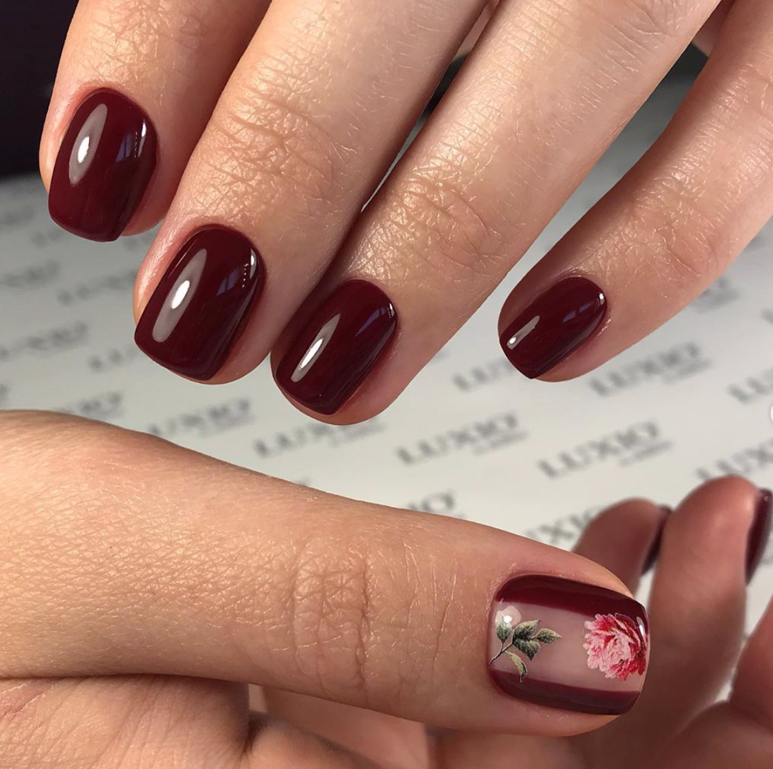 Luxio Plush ile Uygulama Fotoğrafları